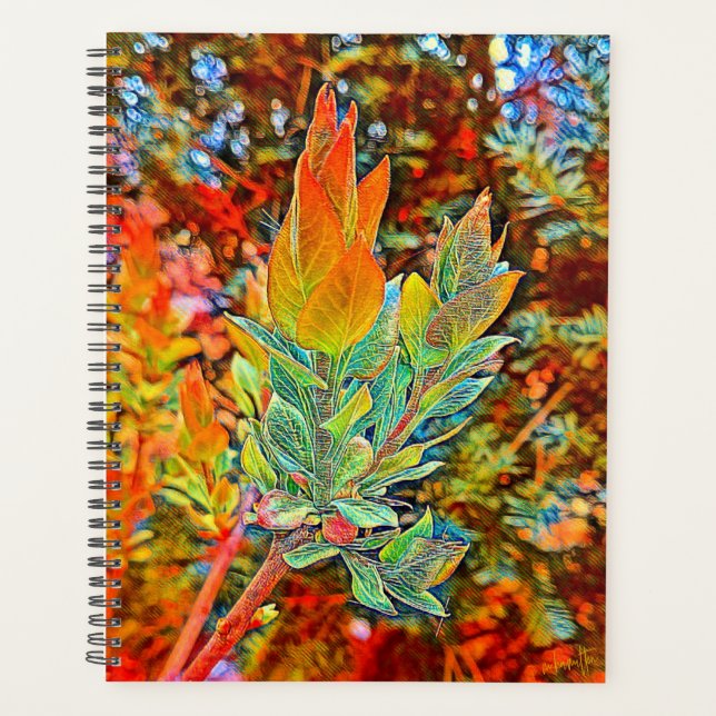 Hard Cover Daily Planner  (Front)