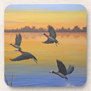 Hard Plastic Coaster