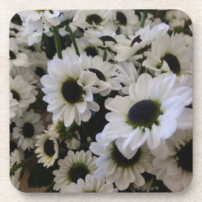 Hard Plastic Coaster Set - Black & White Daisies (Front)