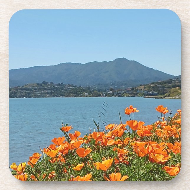 Hard plastic coaster set Mt Tamalpais Poppies  (Front)