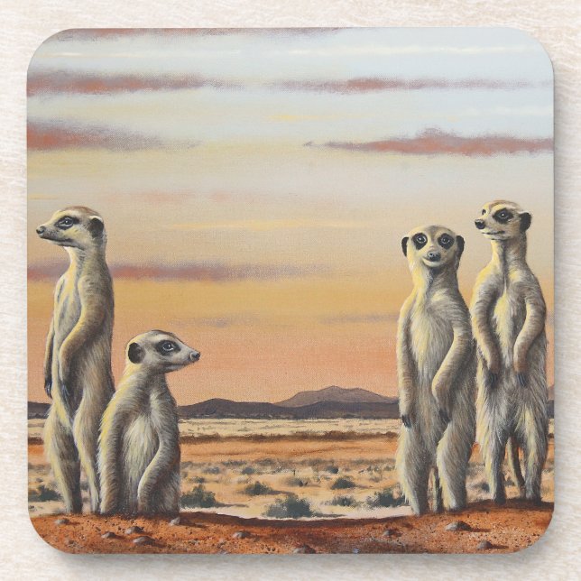 Hard Plastic Coasters (Front)
