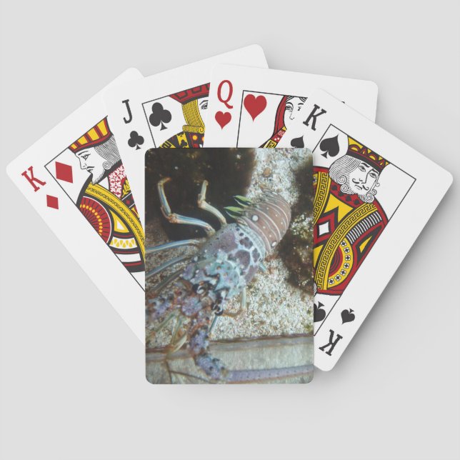 Hard Shelled Deck of Playing Cards (Back)