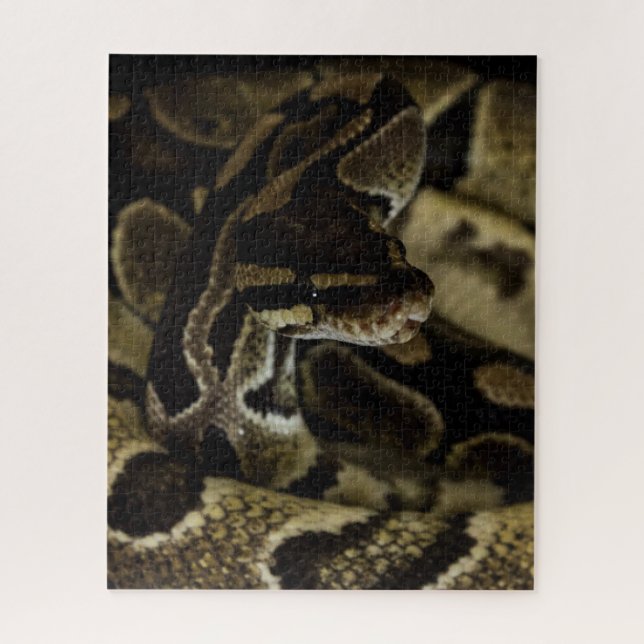 Hard Snake Puzzle (Vertical)