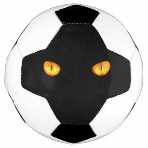 Hard Stare of Golden Bombay Cat Eyes Soccer Ball