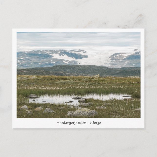 Hardangervidda Norway Postcard (Front)