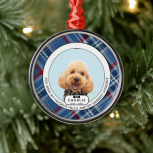 Hardest Goodbye Pet Memorial Glass Ornament