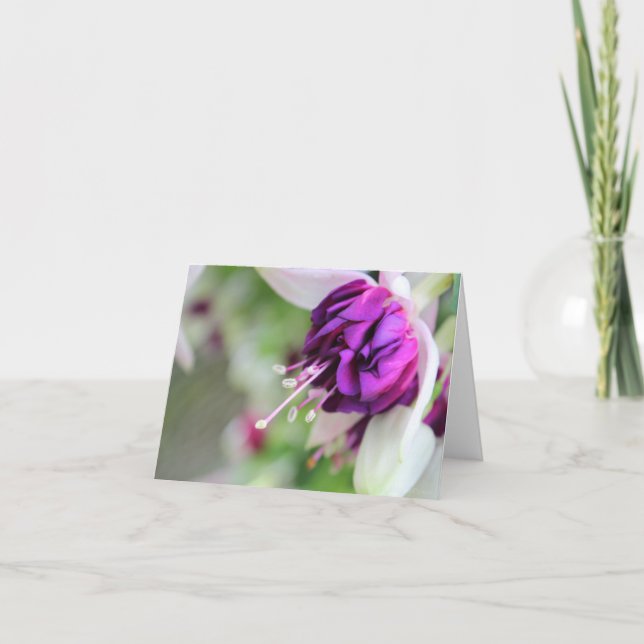 Hardly Purple Fushia II Holiday Card (Front)