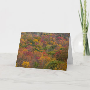 Hardwood Forest in Randolph County, West Virginia Card