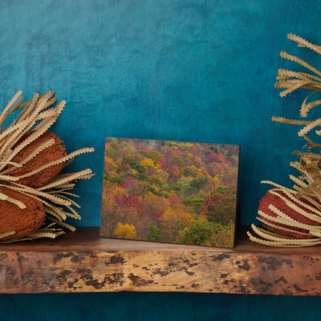 Hardwood Forest in Randolph County, West Virginia Plaque (Side)