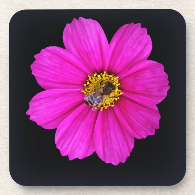 hardworking bee coaster (Front)