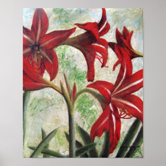 Hardy Amaryllis Poster (Front)