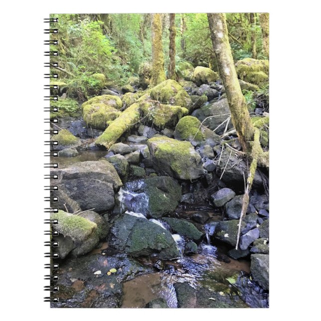 Hardy Creek, Oregon Notebook (Front)