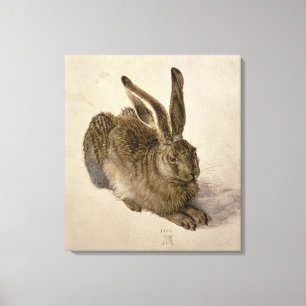 Hare, 1502 canvas print