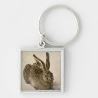 Hare, 1502