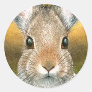 hare 18 Sticker
