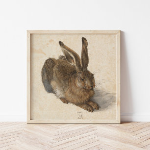 Hare   Albrecht Dürer Poster