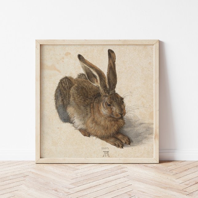 Hare | Albrecht Dürer Poster (Creator Uploaded)