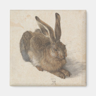 Hare (by Albrecht Dürer) Magnet