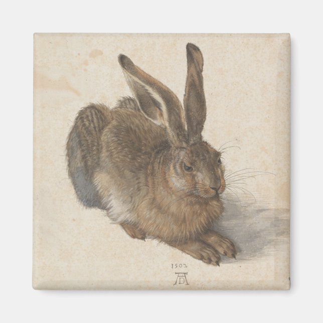 Hare (by Albrecht Dürer) Magnet (Front)