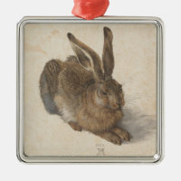 Hare (by Albrecht Dürer)