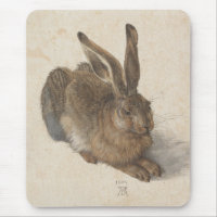 Hare (by Albrecht Dürer)