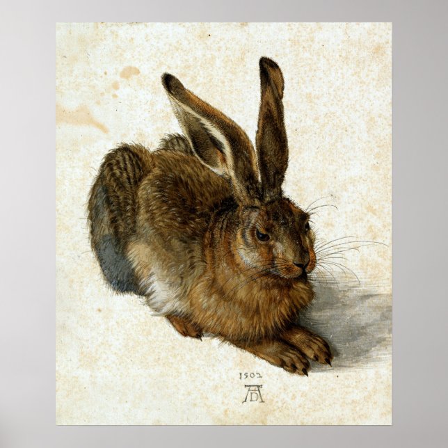 Hare by Albrecht Dürer Poster (Front)