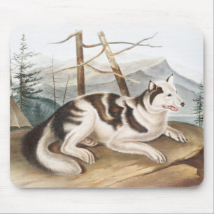 Hare Indian Dog (Canis familiaris) Illustration Mouse Pad