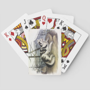 Hare-Indian Dog (Mackenzie River Dog) by Audubon Playing Cards