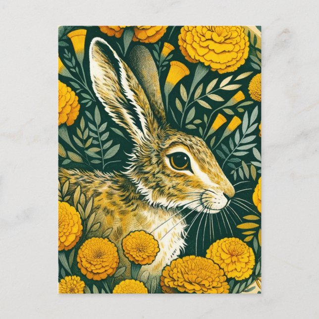 Hare Marigold                                      Holiday Postcard (Front)