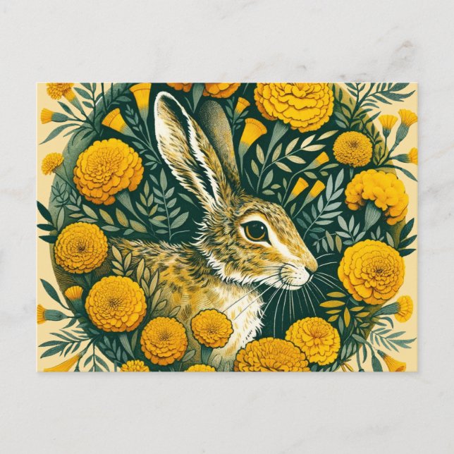 Hare Marigold                                      Postcard (Front)
