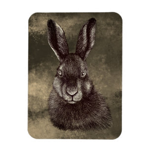 Hare, rabbit, drawing magnet