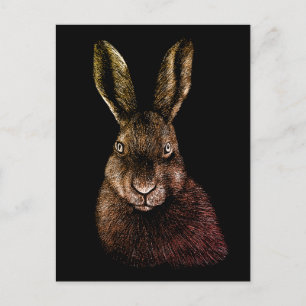 Hare, rabbit, drawing  postcard