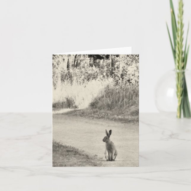 Hare today card (Front)