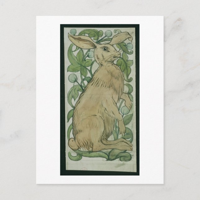 Hare (w/c on paper) postcard (Front)