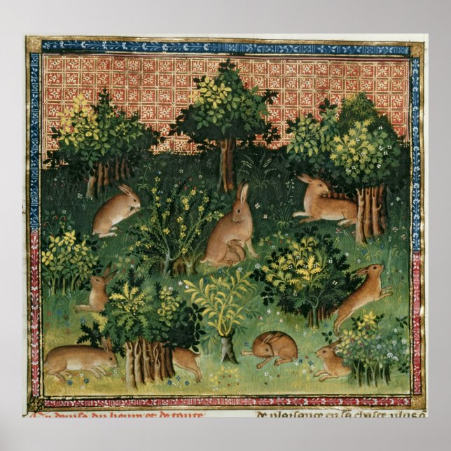 Hares in a Wood Poster (Front)