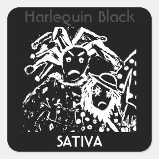 Harlequin Black Sativa Square Sticker