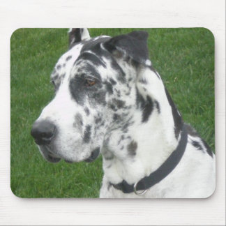 Harlequin Dane Mouse Pad