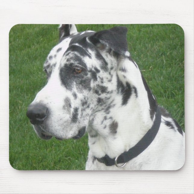 Harlequin Dane Mouse Pad (Front)