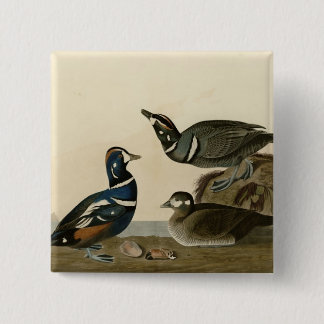 Harlequin Duck 15 Cm Square Badge