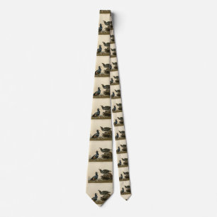 Harlequin Duck - from Audubon's Birds of America Tie