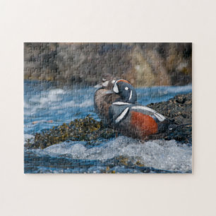 Harlequin Duck in ocean surf Jigsaw Puzzle