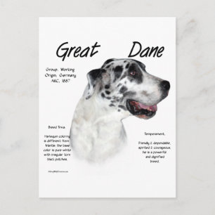 Harlequin Great Dane History Design Postcard
