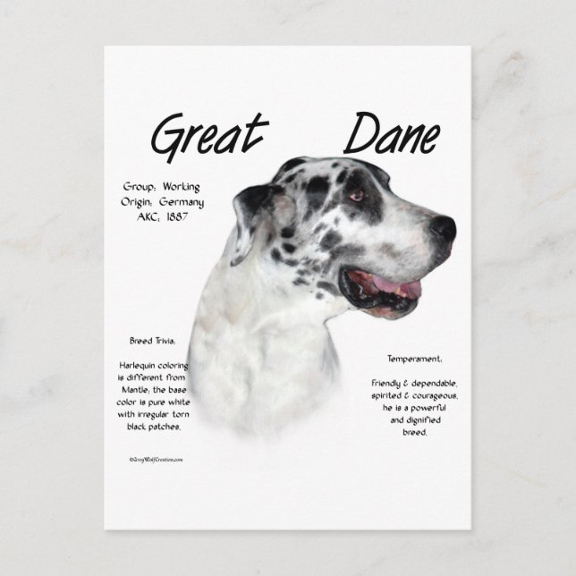 Harlequin Great Dane History Design Postcard (Front)