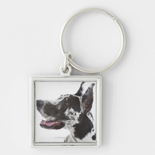 Harlequin Great Dane Key Ring (Front)