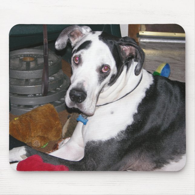 Harlequin Great Dane Mouse Pad (Front)