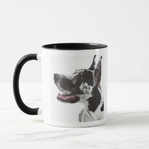 Harlequin Great Dane Mug