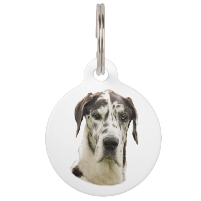 Harlequin Great Dane Pet Portrait Pet Tag (Front)