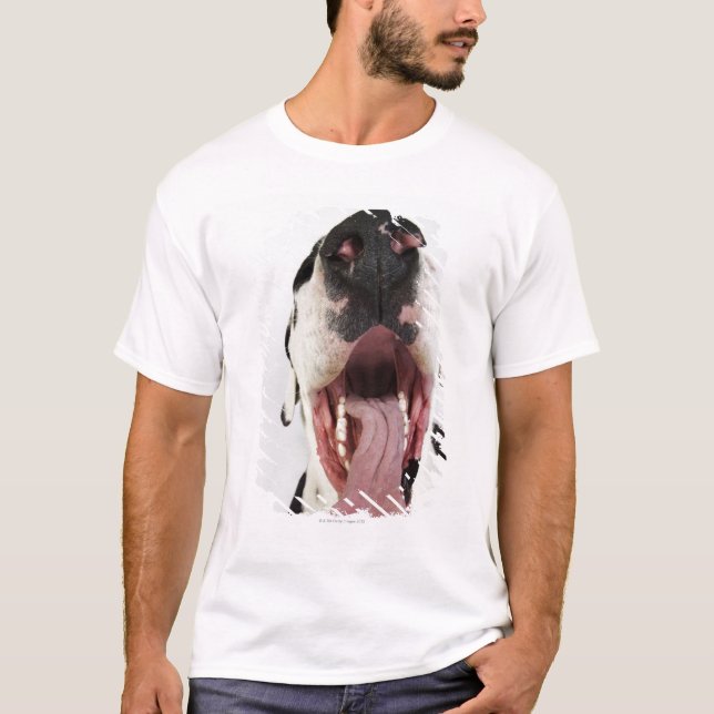 Harlequin Great Dane with open mouth, close-up, T-Shirt (Front)