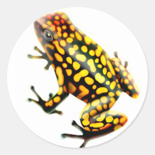 Harlequin Poison Frog Classic Round Sticker