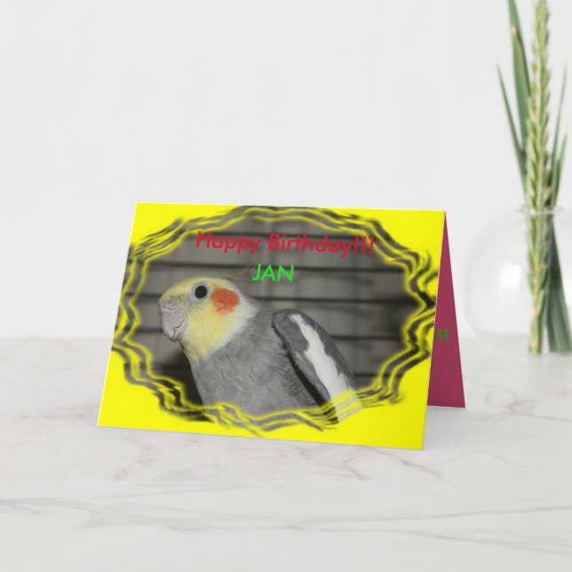 Harley Cockatiel Birthday Card (Front)